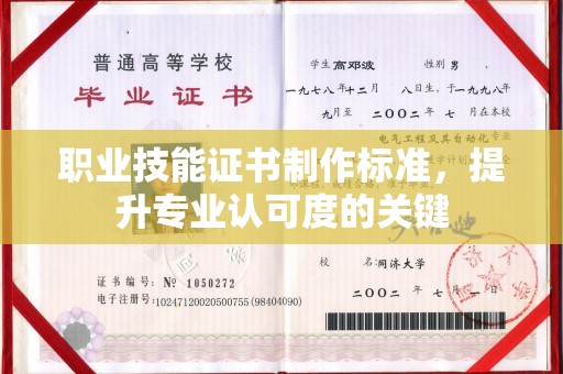 沈丘职业技能证书制作标准，提升专业认可度的关键