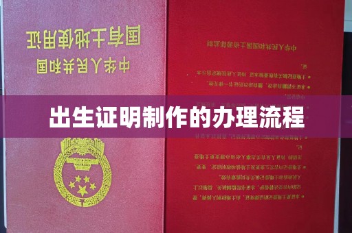 沈丘出生证明制作的办理流程
