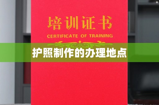 沈丘护照制作的办理地点