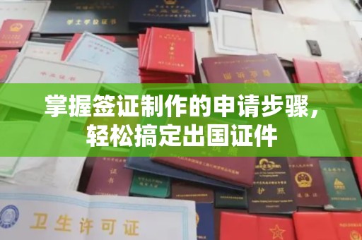 沈丘掌握签证制作的申请步骤，轻松搞定出国证件
