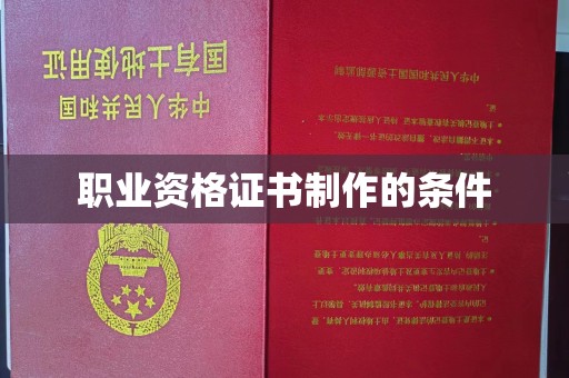 沈丘职业资格证书制作的条件