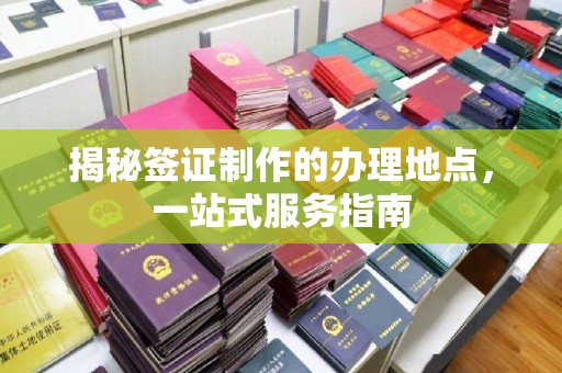 沈丘揭秘签证制作的办理地点，一站式服务指南