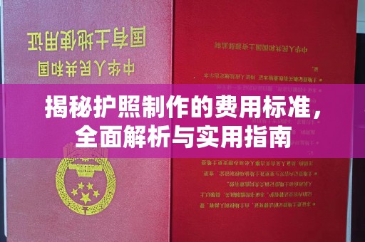 沈丘揭秘护照制作的费用标准，全面解析与实用指南