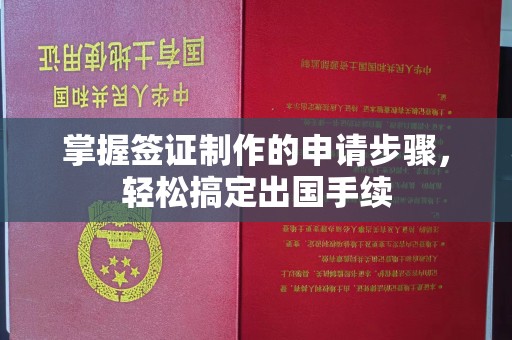 沈丘掌握签证制作的申请步骤，轻松搞定出国手续