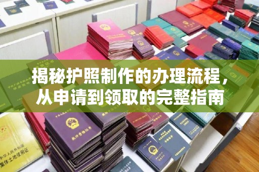 沈丘揭秘护照制作的办理流程，从申请到领取的完整指南