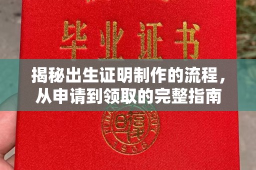 沈丘揭秘出生证明制作的流程，从申请到领取的完整指南