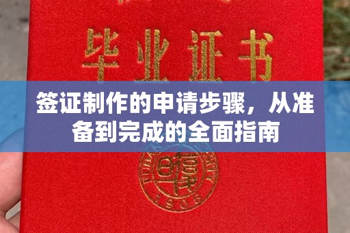 沈丘签证制作的申请步骤，从准备到完成的全面指南