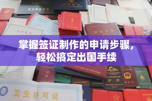 沈丘掌握签证制作的申请步骤，轻松搞定出国手续
