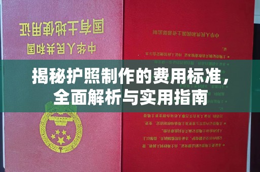 沈丘揭秘护照制作的费用标准，全面解析与实用指南
