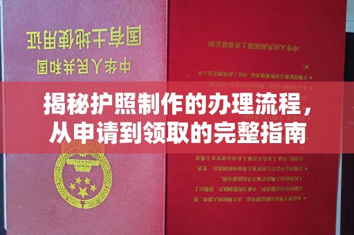 沈丘揭秘护照制作的办理流程，从申请到领取的完整指南