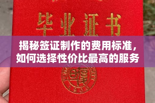 沈丘揭秘签证制作的费用标准，如何选择性价比最高的服务？