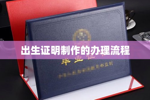 沈丘出生证明制作的办理流程