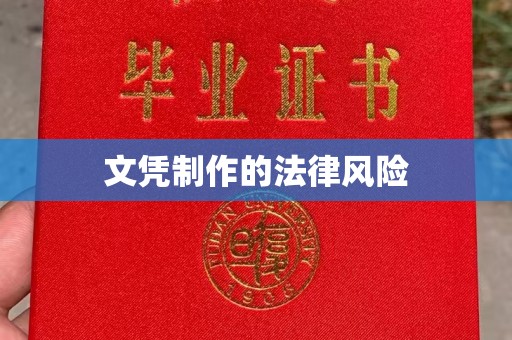 沈丘文凭制作的法律风险