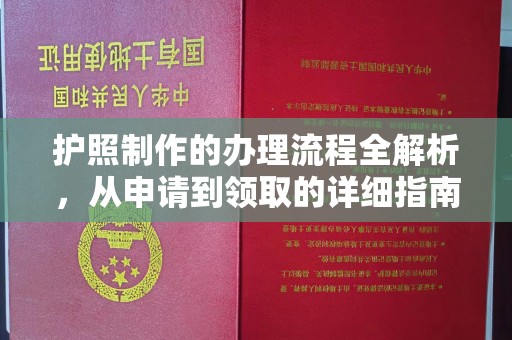 沈丘护照制作的办理流程全解析，从申请到领取的详细指南