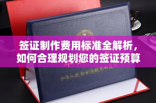沈丘签证制作费用标准全解析，如何合理规划您的签证预算？